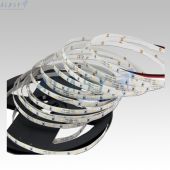 ĐÈN LED DÂY SMD 3528