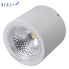 Đèn LED Ốp Trần Tròn 10w