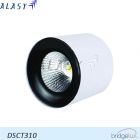 ĐÈN LED ỐP TRẦN TRÒN 10W - DSCT310