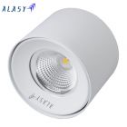 Đèn LED Ốp Trần 10W