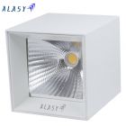 Đèn LED Ốp Trần Vuông 15W