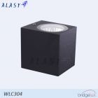 ĐÈN GẮN TƯỜNG TRANG TRÍ NGOÀI TRỜI 4W - WLC304